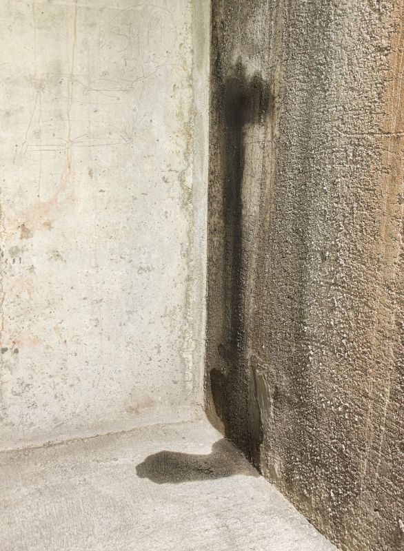 Wet Basement Repair in Tuscaloosa, AL